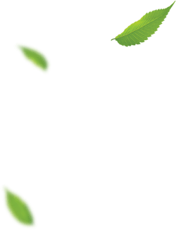 Обустройство скважины с оголовком